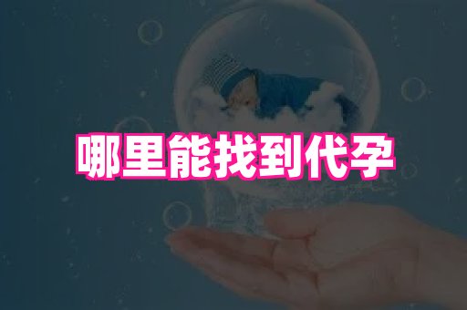 69助孕网 4